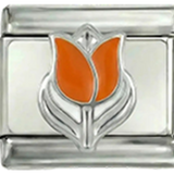 Tulipa Holandesa