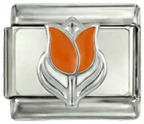 Tulipa Holandesa