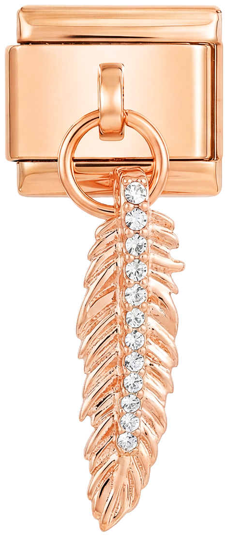Feather with Stones, on Rose Gold - feather-with-stones-on-rose-gold.png